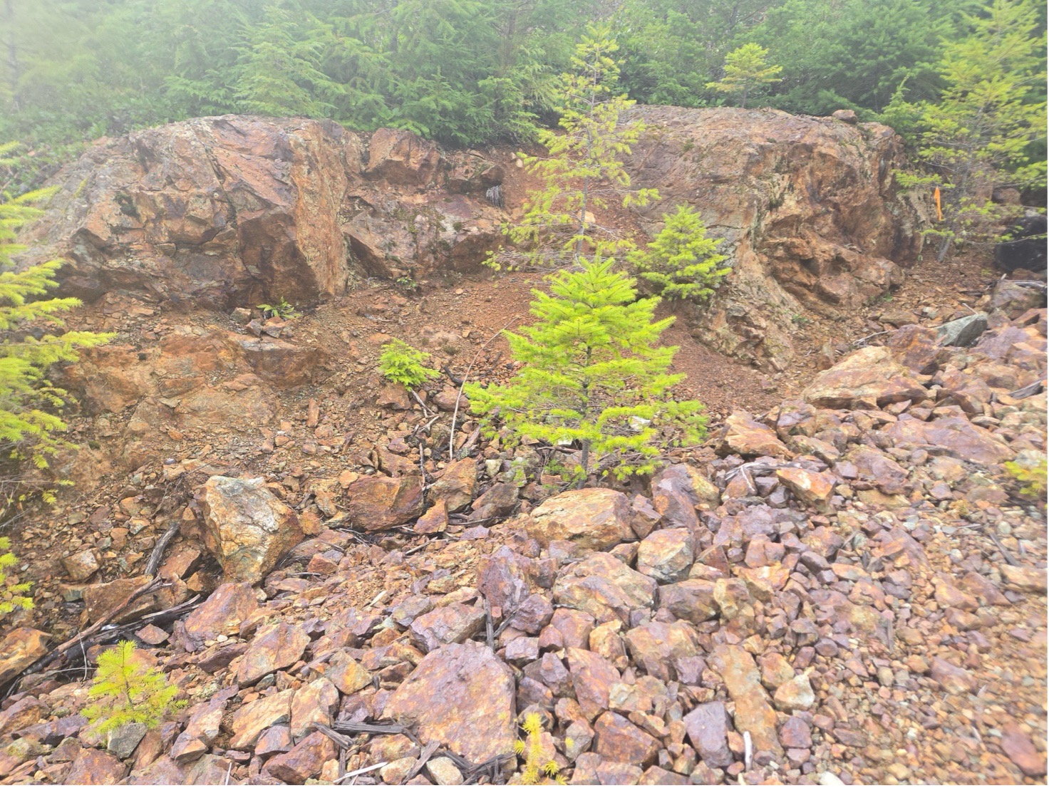 photograph-3 photograph-3