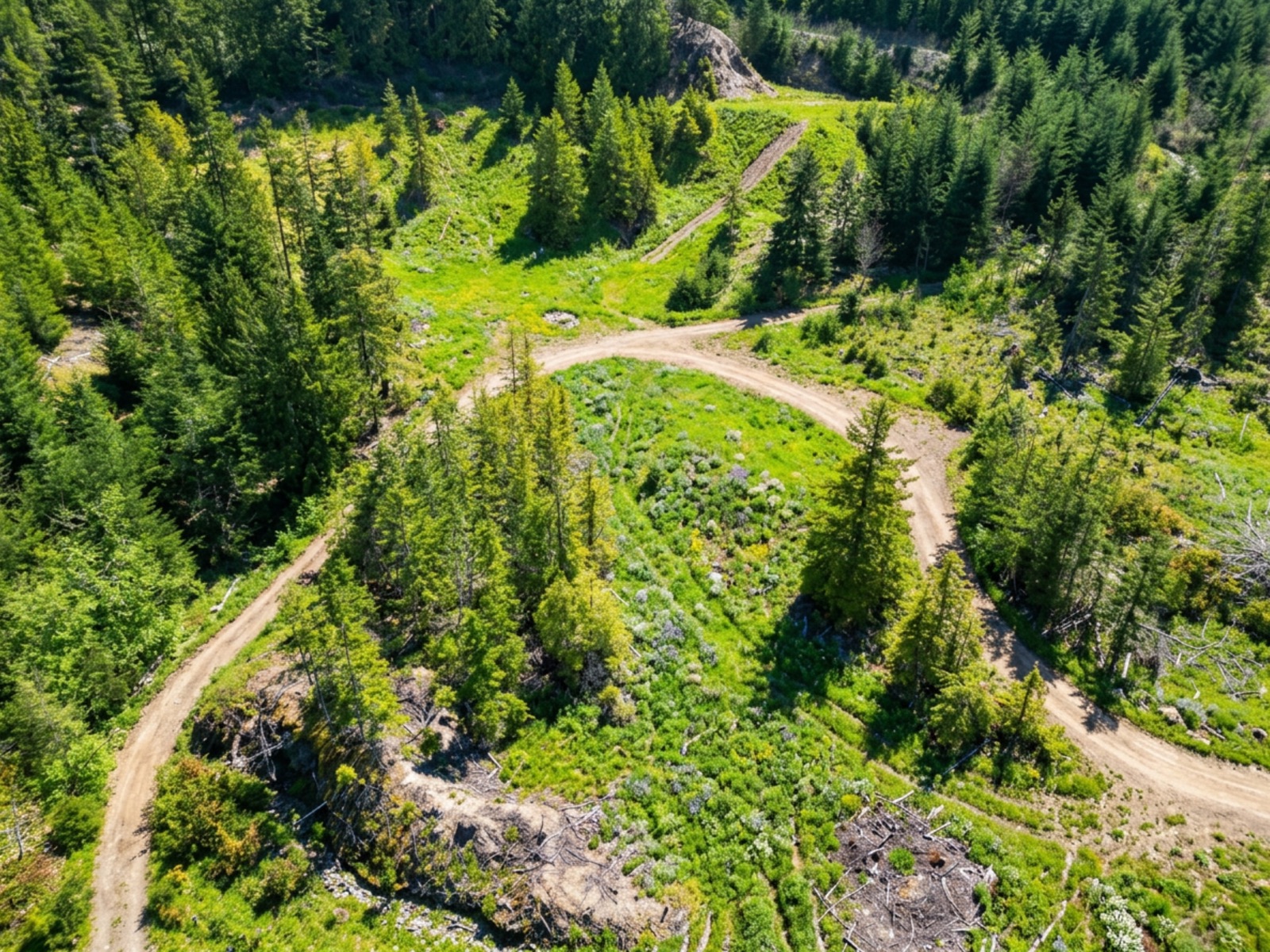 Lenora site – future reclaimed landscape
