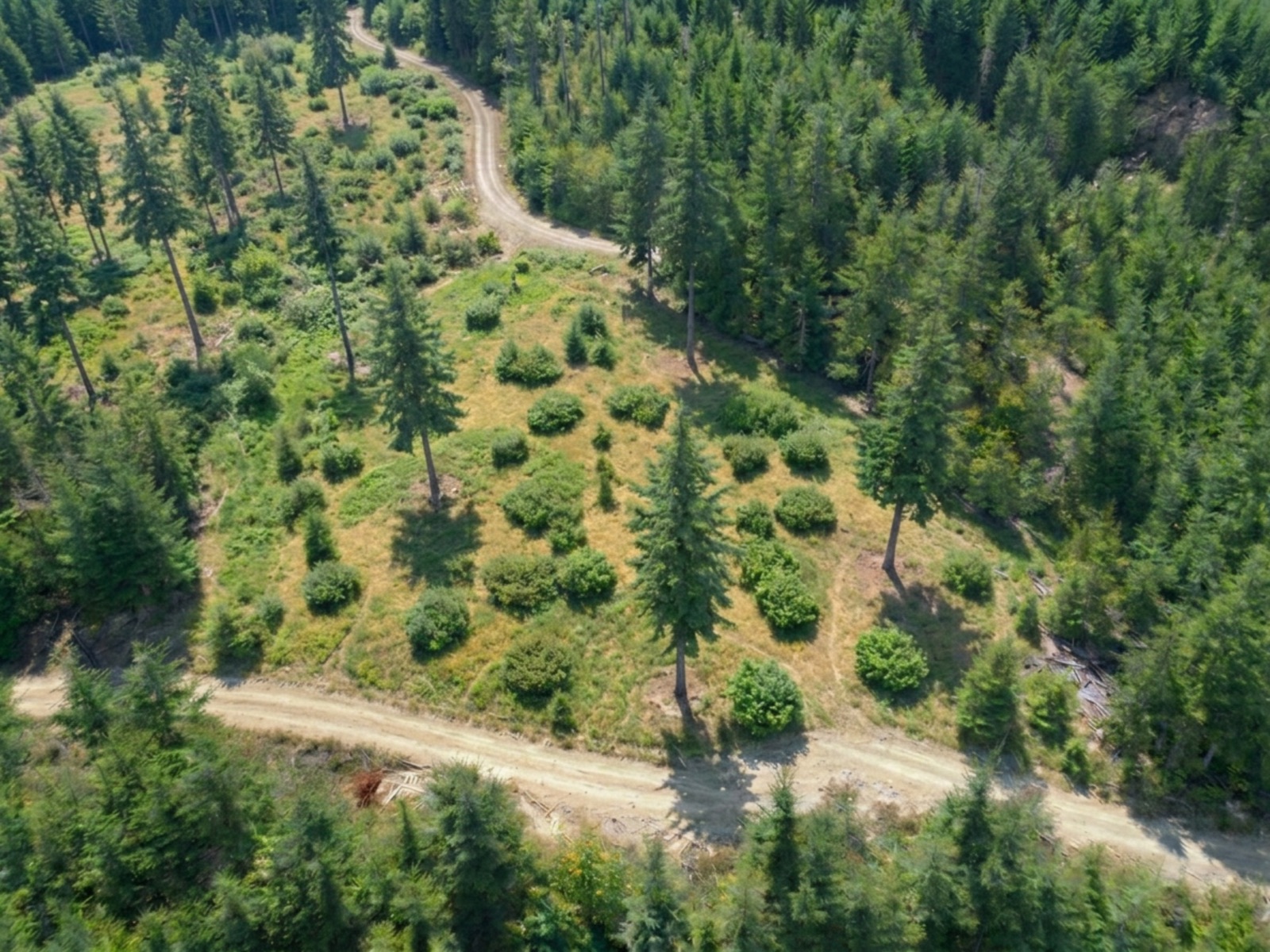 Tyee site – future reclaimed landscape